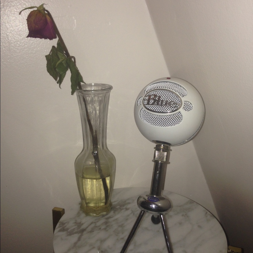 Blue snowball mic